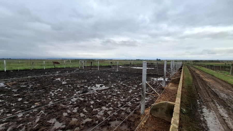 Commercial Property for Sale in Klerksdorp Rural North West